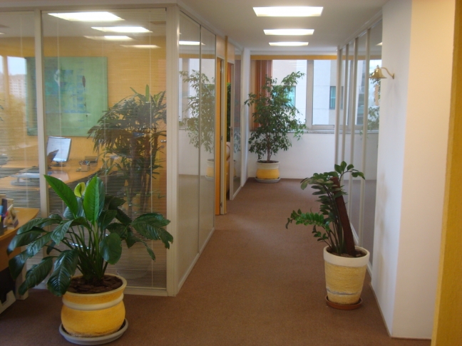 Nosso escritório - Success For You